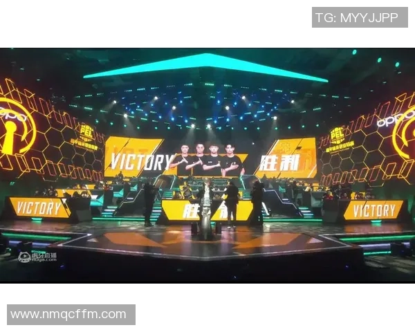 和平精英战场上的荣耀与坚持：RNG战队的奋斗历程全景回顾