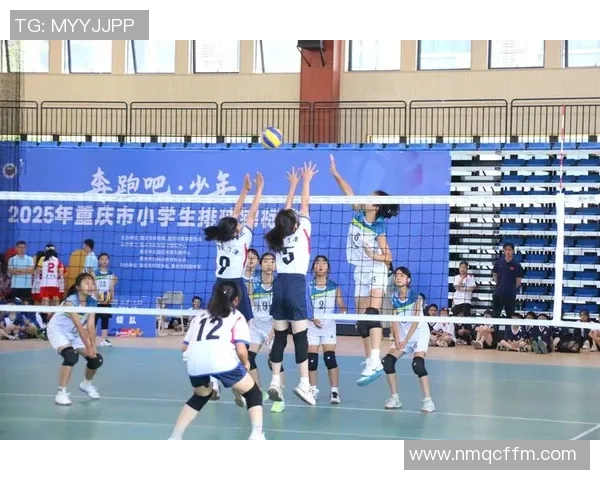 重庆排球队在欧锦赛中的比赛经验与表现分析